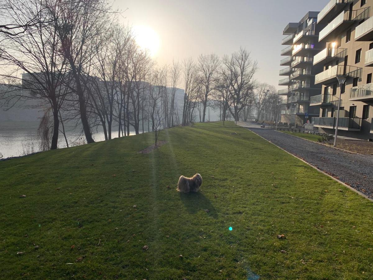 Apartmentsun Island Wrocław Exteriör bild